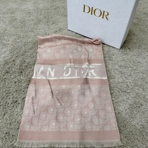 Dior Oblique Reversible Scarf